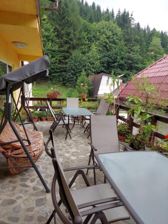 Pensiune Casa Barcaru Azuga Buitenkant foto